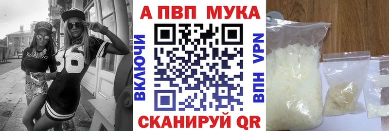 A PVP СК  Новодвинск 
