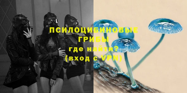 СК Алексин