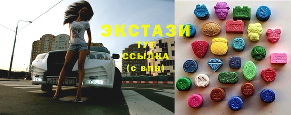 СК Алексин