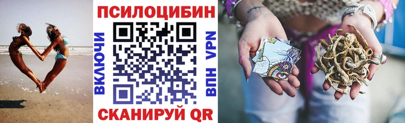 блэк спрут маркетплейс  Новодвинск  площадка клад  Галлюциногенные грибы ЛСД 